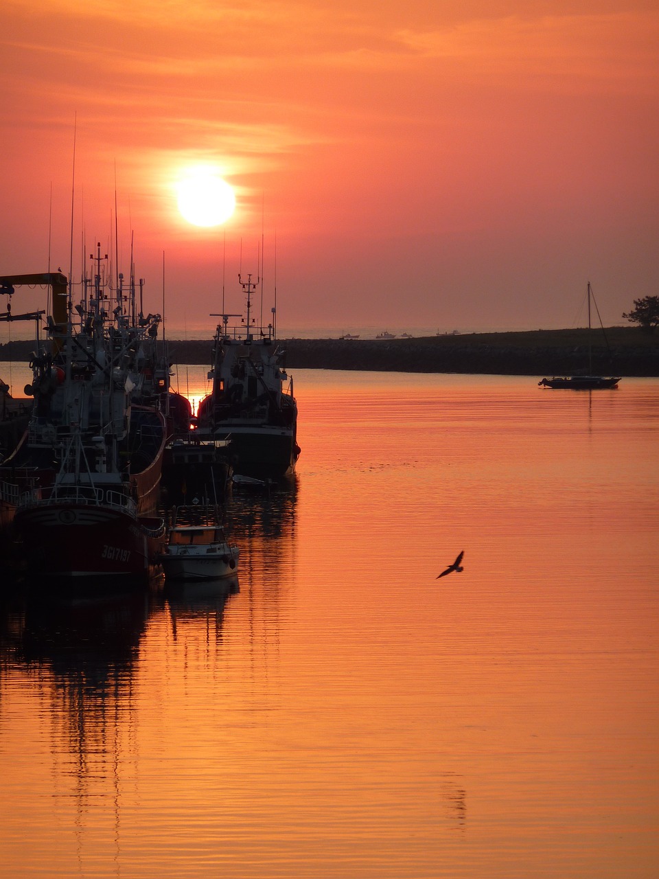 sunrise, boat, sea-3909155.jpg