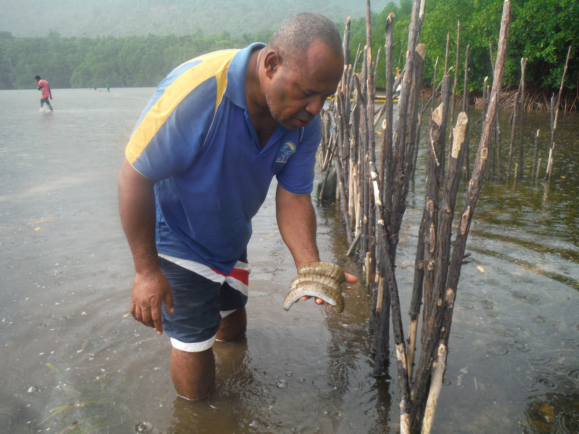 Fisheries Management