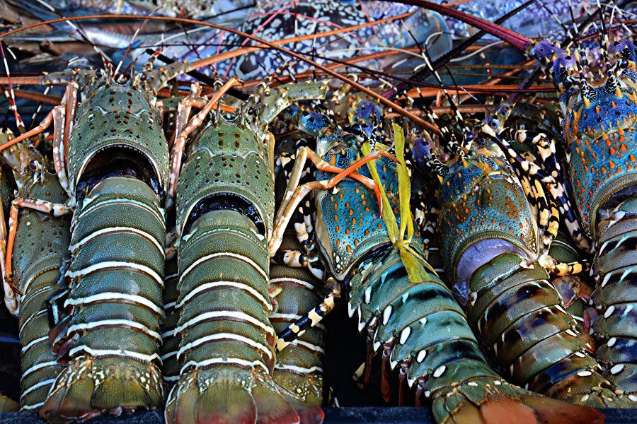 ac04a1e08ce61b7da7be77fc83909684