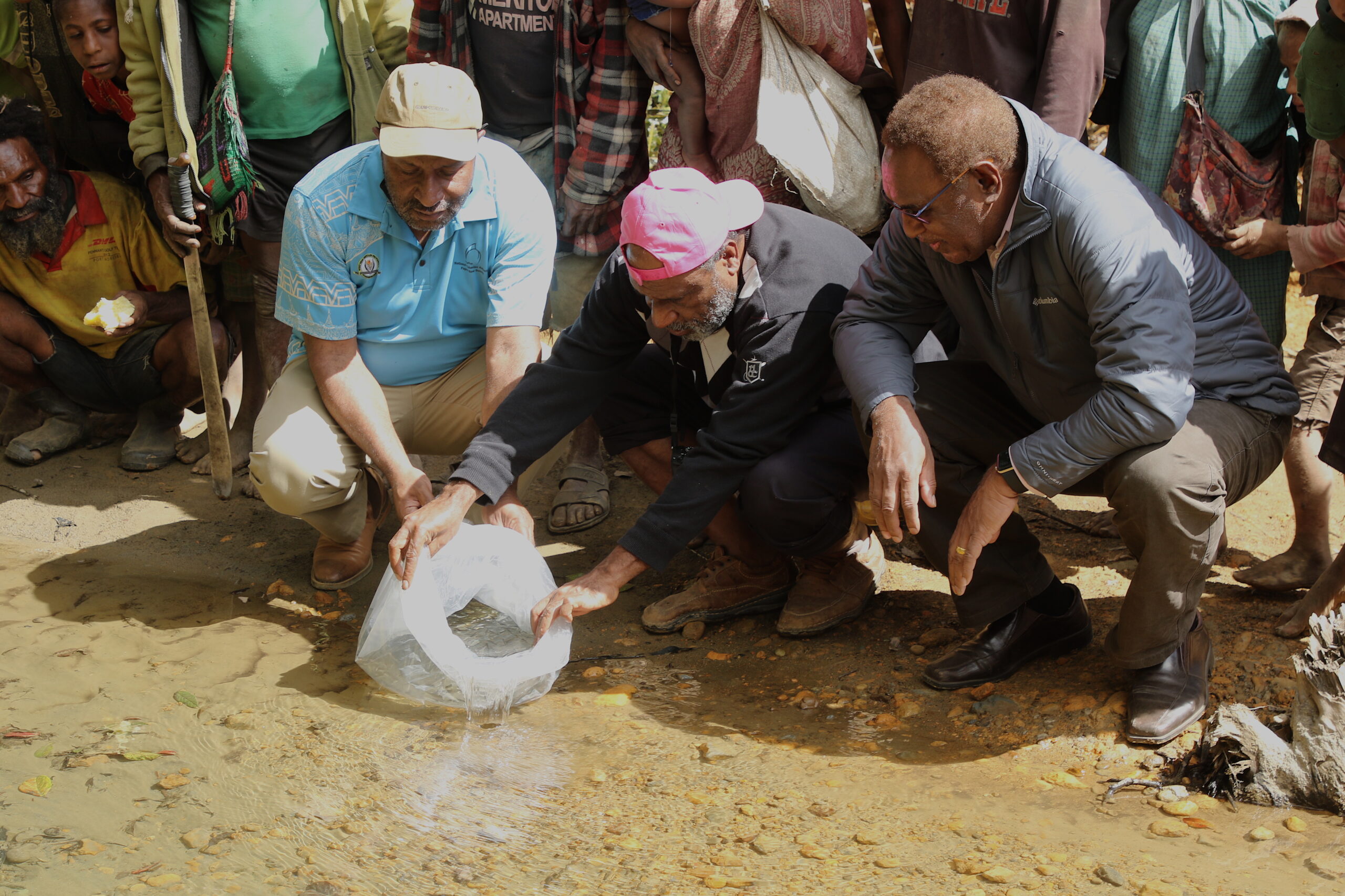 pg33 – Fisheries Minister Hon. Dr. Lino Tom, Aquaculture Executive Manager Jacob Wani and Managing Director John Kasu restock trout fingerlings into Enga Rivers